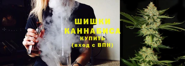 стафф Белокуриха