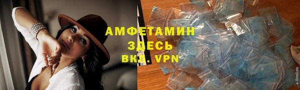 сатива Беломорск