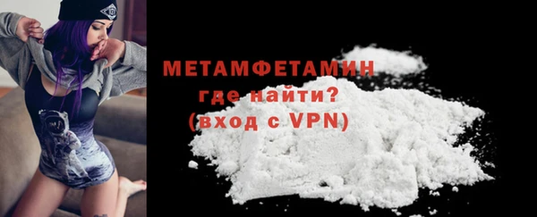 сатива Беломорск