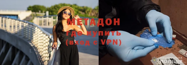 сатива Беломорск