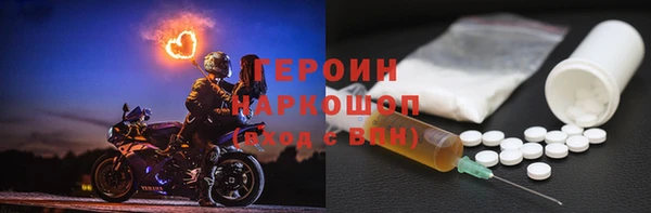 сатива Беломорск