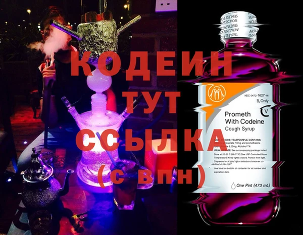 сатива Беломорск