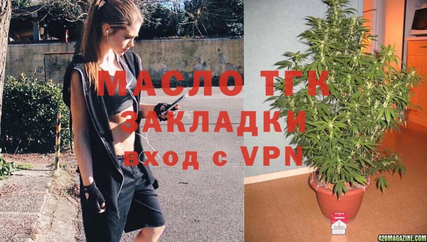 сатива Беломорск