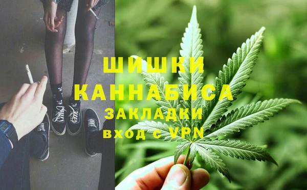 стафф Белокуриха