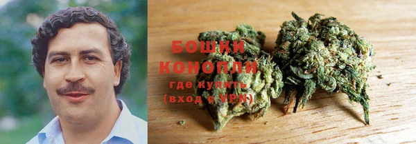 сатива Беломорск