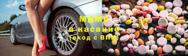 сатива Беломорск