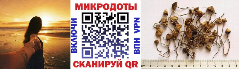 Галлюциногенные грибы MAGIC MUSHROOMS Реж
