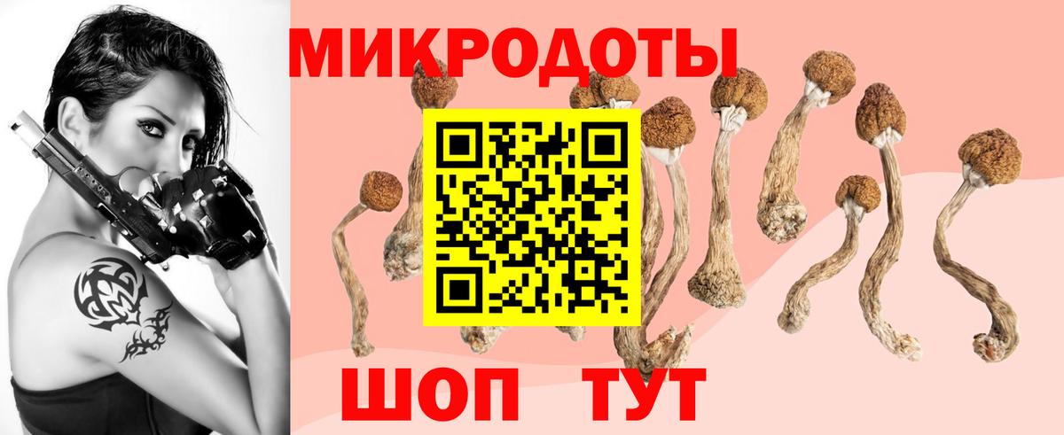 Псилоцибиновые грибы GOLDEN TEACHER  Галлюциногенные грибы MAGIC MUSHROOMS  Реж  продажа наркотиков  Вход с VPN 